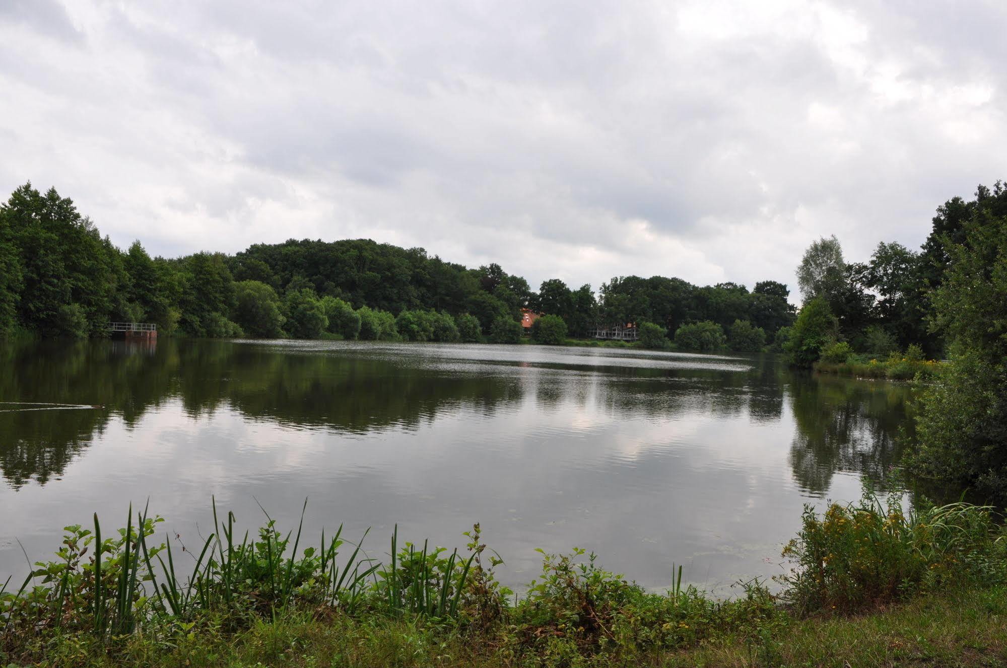 Emsland Hotel Saller See Freren Bagian luar foto
